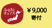 神戸市ふるさと納税9000円寄付する